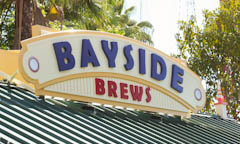 Bayside Brews