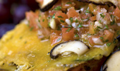 Close up of omelette