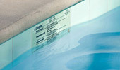 Close up on a large E-Ticket at the water's surface beneath the pool's edge.