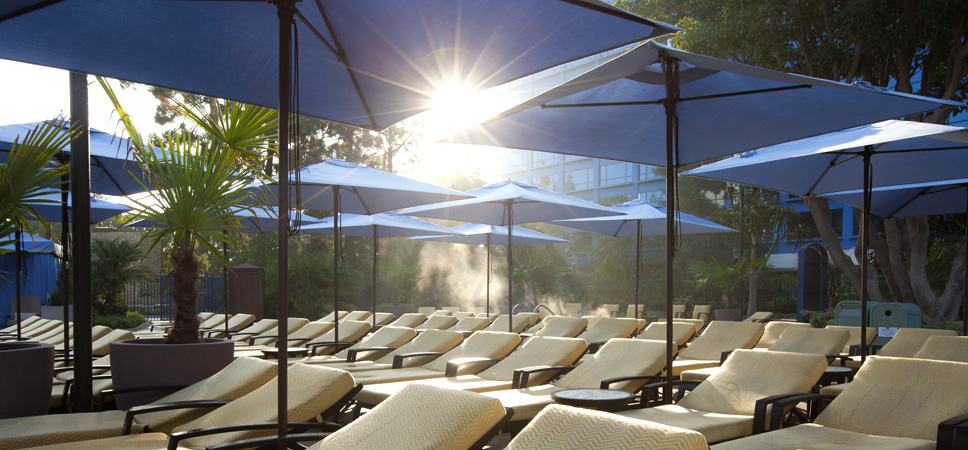 Rows of lounges beneath sun umbrellas. 