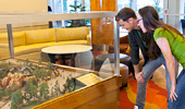 A couple looks into a large glass case that contains a replica of part of the Disneyland Theme Park in miniature.