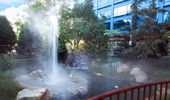 The landscaped area contains a small-scale geyser.