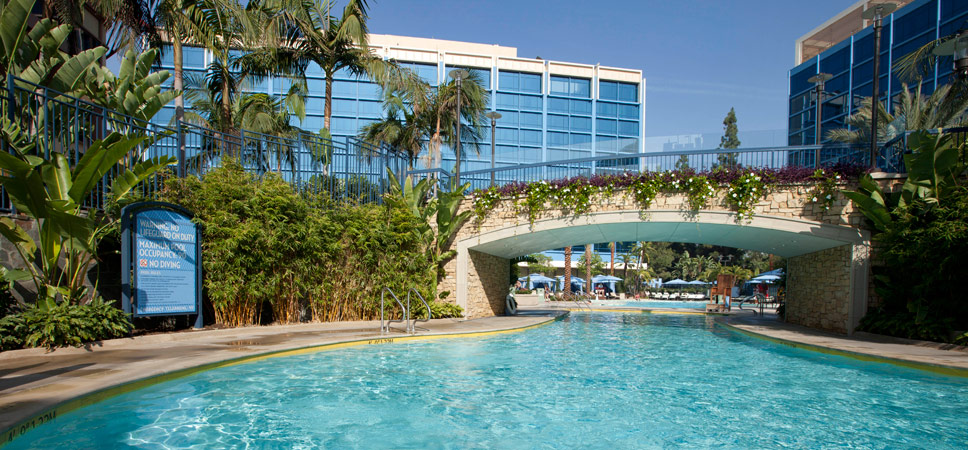 Disneyland Water Slides