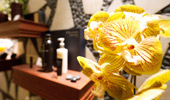 A gorgeous orchid decorates the Mandara Spa.