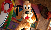Pluto dances at the beach-themed Disney's PCH Grill.