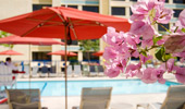 Flowers in bloom by the pool at Disney's Paradise Pier Hotel.