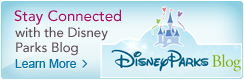 Stay Connected with the Disney Parks Blog